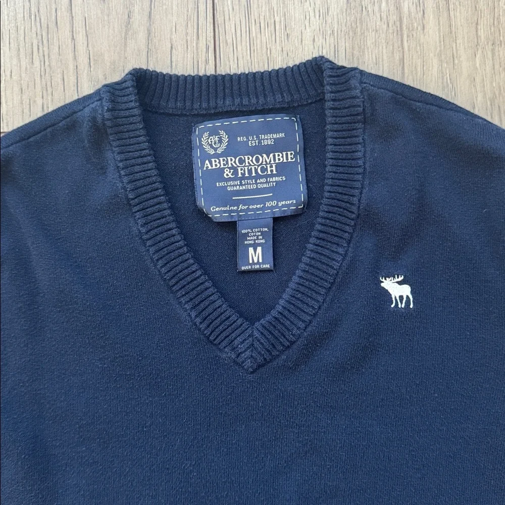 Abercrombie & Fitch Men's V-Neck Sweater Blue Medium 2000s Classic Moose Logo